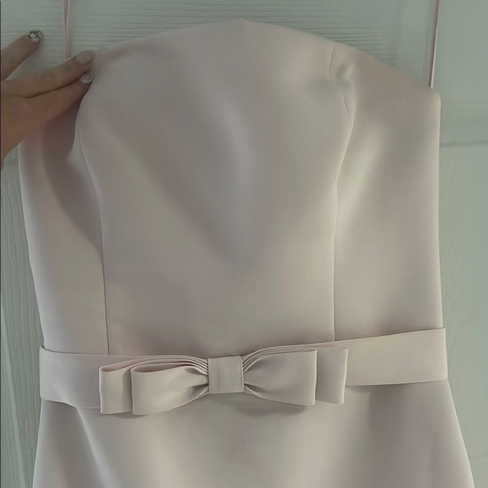 Amsale Tailored to size 6 Pink Strapless Dress